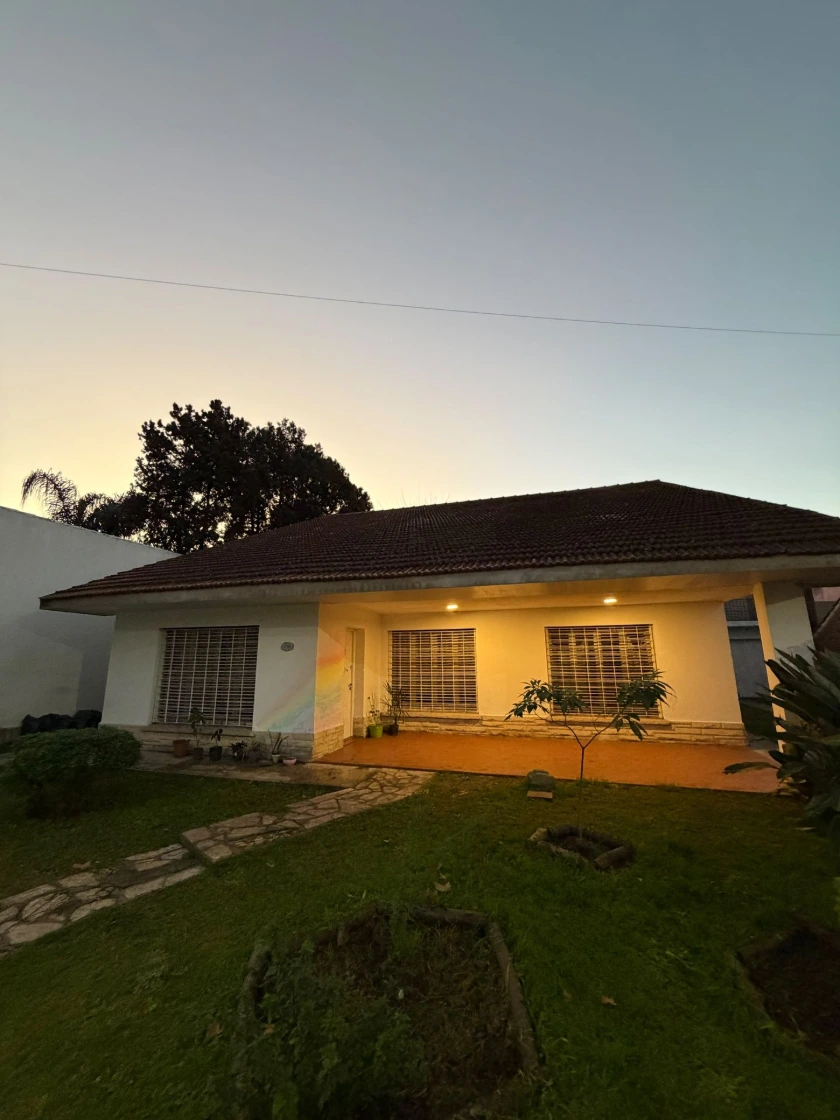 Atardecer sobre los árboles del parque